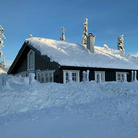 Mountain On Glamhaugen With Terrace Svingvoll