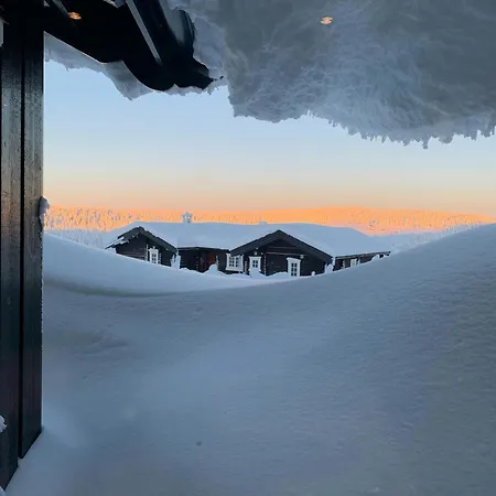 Mountain On Glamhaugen With Terrace * Svingvoll