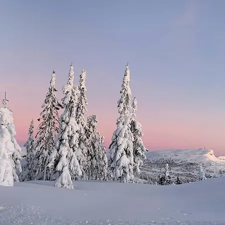 Mountain On Glamhaugen With Terrace Dom wakacyjny Svingvoll